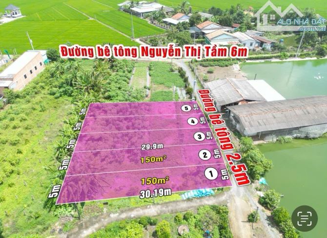 Quá rẻ, chỉ 450tr sở hữu 150m2 đất thổ cư đường Nguyễn thị tấm - 1