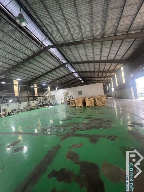 Cho Thuê Xưởng 5000m2 Độc Lập 270tr Trong KCN amata Biên Hòa. - 1