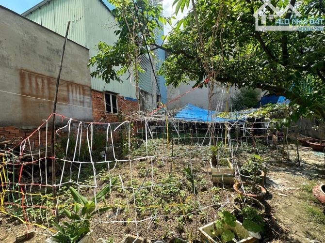 ĐẤT THỔ CƯ, đường TRẦN THỊ HÈ, P. HIỆP THÀNH, Q12, dt 90m2 (5mx18m) Đường 4m💰4,5Tỷ - 1