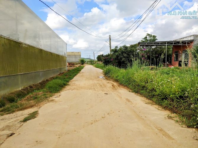 Đất trang trại nông nghiệp ở TàHin-Đức Trọng-Lâm Đồng - 1
