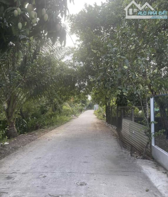 ĐẤT VƯỜN Ở NGHỈ DƯỠNG RẠCH ÔNG DỰA VÀO 1,5km, GẦN CHỢ PHÓ THỌ & LỘ 40M LONG TUYỀN,BT - 1