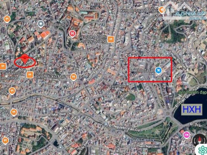 🏨 ĐẤT KHÁCH SẠN BIỆT THỰ – MẶT TIỀN NGÔ HUY DIỄN, P5, TP. ĐÀ LẠT - 2