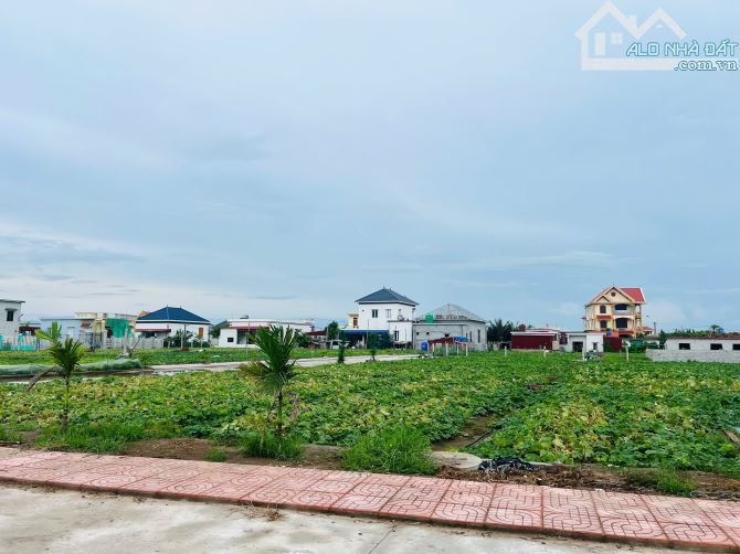 Bán đất TDP Tiên Thọ - Quất Lâm 105m2 MT5.1m, ô tô kinh doanh giá đầu tư nhỉnh 1 tỷ - 2