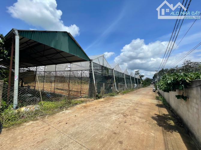 Bán lo đất cạnh Ql27 Dt 40x50m tc400m2 Đường Bàn cờ Cách Sân bay hơn 2Km - 2
