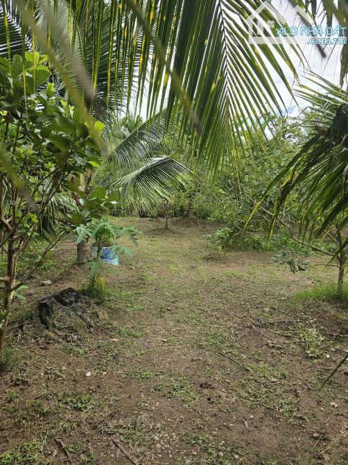 Bán 6800m2 đất vườn gần khu công nghiệp giao long - 2