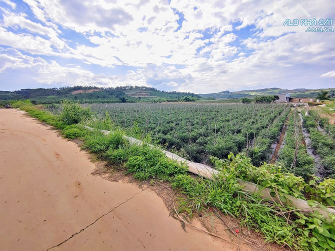 Cần bán 14.400m2 đất đẹp bám suối & betong QH thổ cư tại xã Tà Năng,Lâm Đồng,3.9 tỳ TL - 2