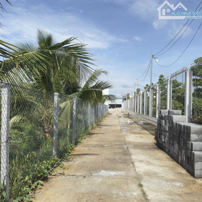 BÁN ĐẤT GIÁ RẺ 5,5CÔNG ĐẤT RẠCH KHOÁNG CHÂU THÍCH HỢP LÀM VƯỜN Ở NGHỈ DƯỠNG, LONG TUYỀN - 2