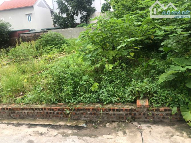 LÔ NGUYÊN KHÊ _Ô TÔ TRÁNH _KINH DOANH_DT 74,6 M2 GIÁ 6,3 TỶ - 3
