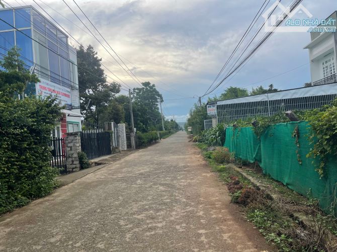 Bán lô Khu Bàn cờ Cư Xá Dt 20x100m tc400m2 tổng 2000m2 giá 9,5ty Cách sân bay 2km - 3