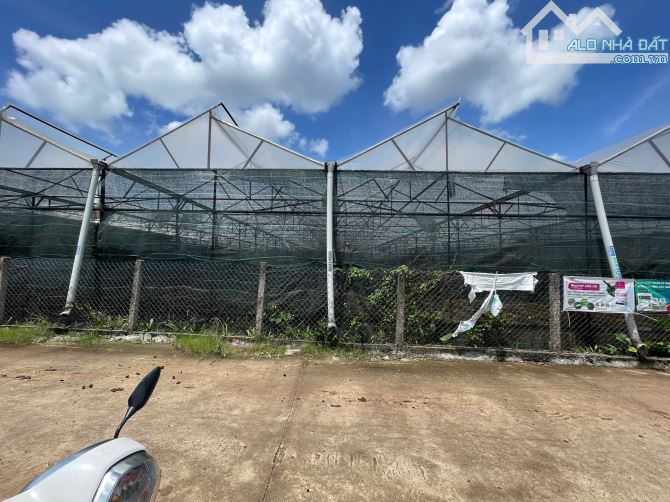 Bán lo đất cạnh Ql27 Dt 40x50m tc400m2 Đường Bàn cờ Cách Sân bay hơn 2Km - 3