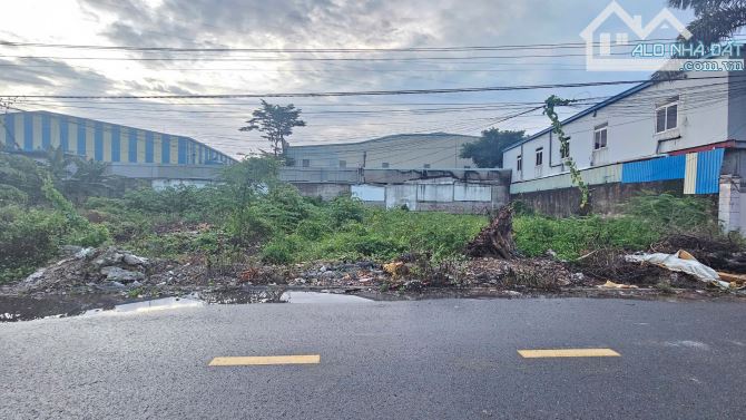 3,15Tỷ TL🔥Bán 2 lô đất 5x30_Gần ngã tư Miếu Ông Cù 500m, p.Tân Phước Khánh, Tp.Tân Uyên - 4