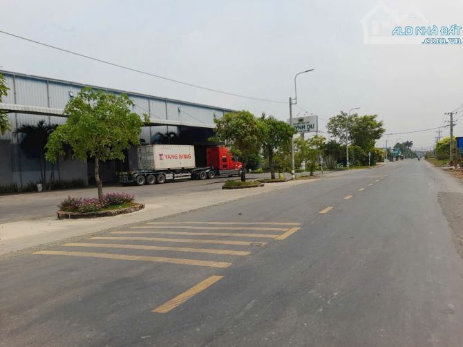 Quá rẻ, chỉ 450tr sở hữu 150m2 đất thổ cư đường Nguyễn thị tấm - 5