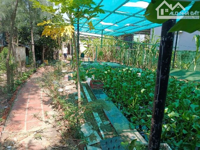 BÁN NHANH ĐẤT VUÔNG VỨC, DIỆN TÍCH 478,4M², MẶT TIỀN 10.2M, NGŨ HÀNH SƠN. 13.6 TỶ. - 5