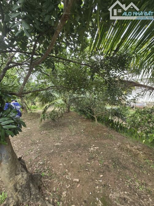 Bán 6800m2 đất vườn gần khu công nghiệp giao long - 6