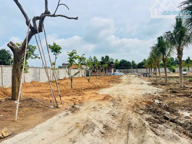 Bán lô đất thổ cư 5 x 31 giá 579tr - Xuân Tây - Cẩm Mỹ, Đồng Nai - 8