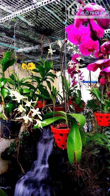 Bán đất Thủ Thiêm mặt tiền sông đường 51 Bình Trưng Đông Quận 2 nền F8 (281m2) 117.5 tr/m2 - 9