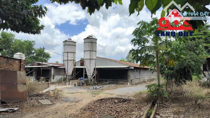 X081 Bán trang trại 3ha thích hợp chuyển đổi làm kho chứa hàng, Bình Minh, Trảng Bom. Gần