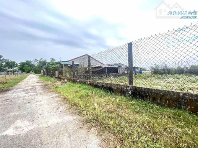 Đất đường bê tông 5m TDP Viễn Trình, Thị Trấn Phú Đa. Đường thông 2 đầu Dt: 102m2 Giá chỉ: