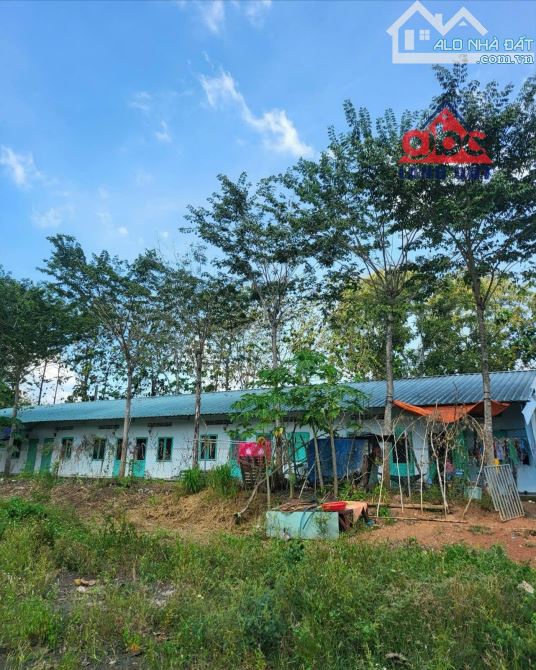 X080 bán nhà xưởng kiên cố. Diện tích đất 33.000m2. Có Nhà Ở CNV