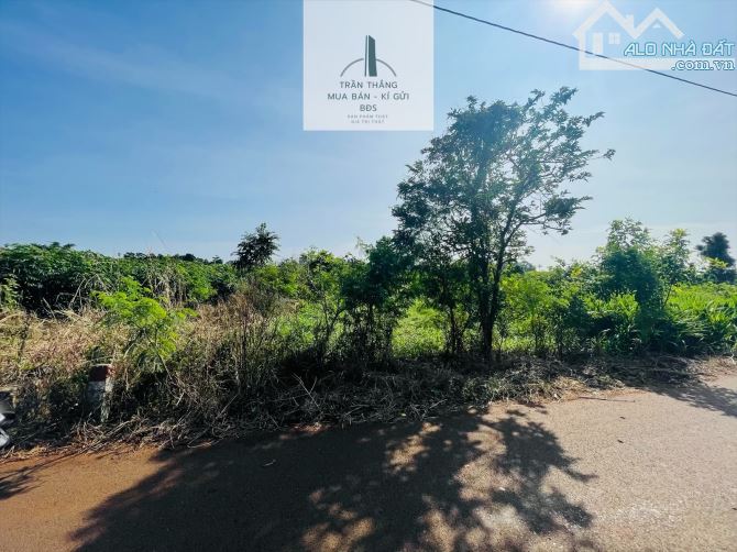 Đất Bình Trung - Khu Dân Cư - Thích Hợp Xây Nhà