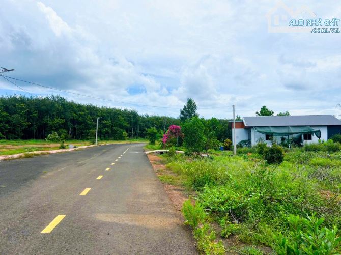 1,2 sào 380 triệu sang sổ đất Đồng Phú đường nhựa 8m  , dân cư hiện hữu