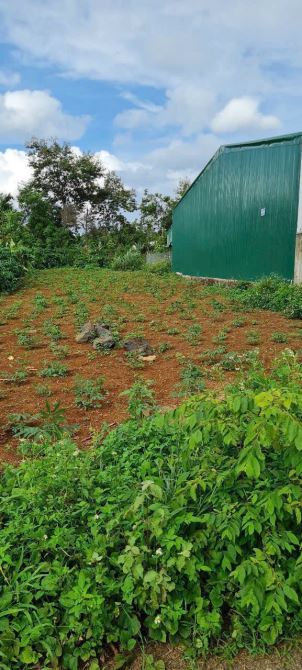 BÁN ĐẤT DIỆN TÍCH LỚN CÁCH QUỐC LỘ 14 CHỈ 200m CÓ 120m2 Thổ Cư