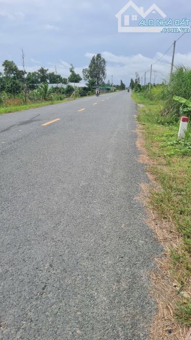 Cần bán nền thổ giáp đường ĐT 846, xã Mỹ Tân (phường), TPCL