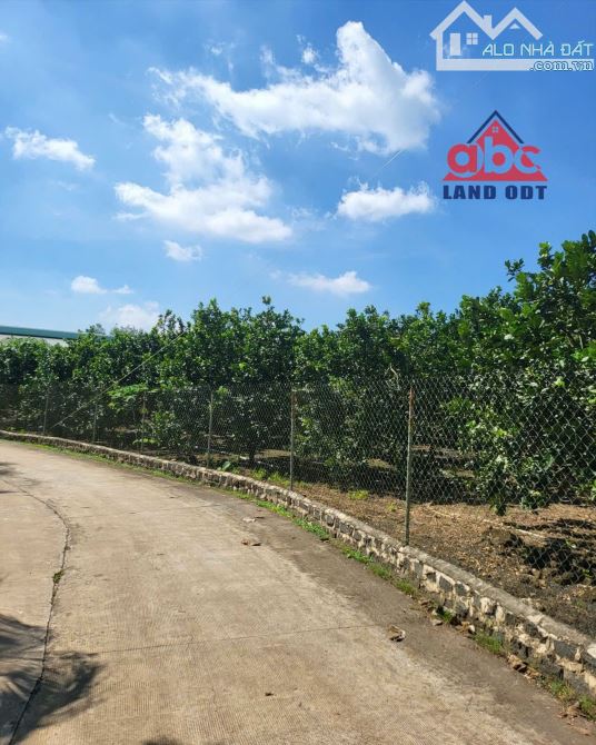 BÁN Xưởng Và Nhà Vườn Xã Vĩnh Tân Vĩnh Cửu 3.3Ha ( 33.000m2 ) 1 Sẹt DT767 -500M