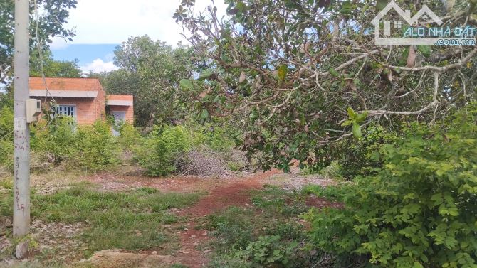 Bán gấp đất Quảng Thành – gần 10 sào – 2 mặt tiền, đường lớn – giá tốt đầu tư