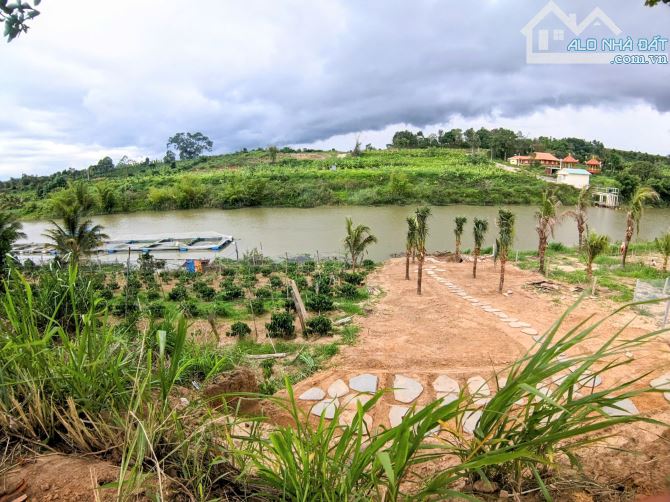 Bán đất nền Biệt Thự View Sông Làng Chùa Đại Ninh,DT 10m x 49m,bán 2.7 tỷ TL