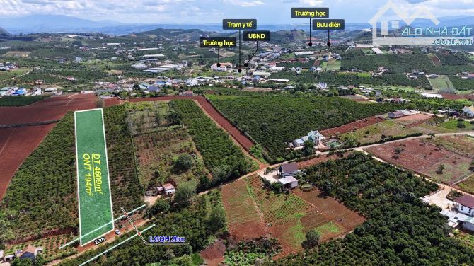 ✨ 4.609M2 (194M2 ONT) Ngang 20M Mặt đường Nhựa (QHLG: 20M), cách Đà Lạt chỉ 20Km - 3,45 TỶ