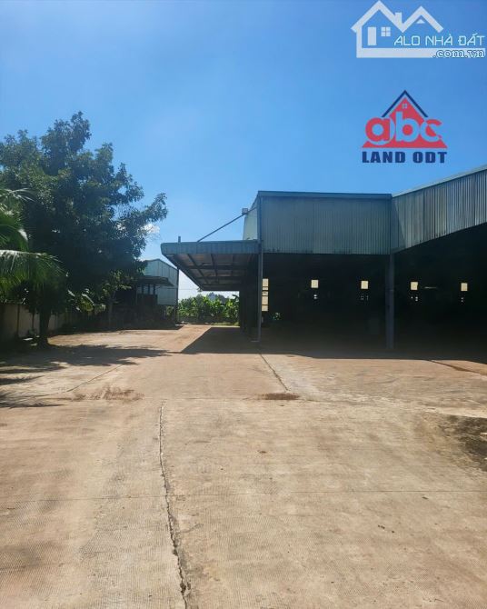 Bán Nhà Xương Tổng Khuôn Viên 3hec3 Thuộc Tân An - 10