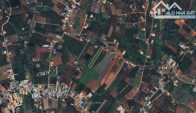 ✨ 4.609M2 (194M2 ONT) Ngang 20M Mặt đường Nhựa (QHLG: 20M), cách Đà Lạt chỉ 20Km - 3,45 TỶ - 11