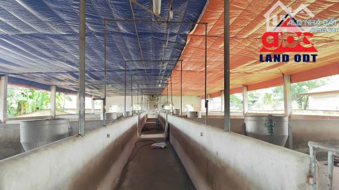 X081 Bán trang trại 3ha thích hợp chuyển đổi làm kho chứa hàng, Bình Minh, Trảng Bom. Gần - 1