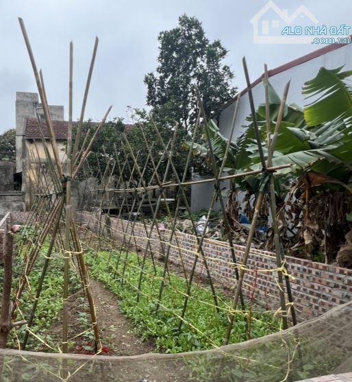 Bán đất Đông Mỹ, Thanh Trì, mặt ngõ thông ô tô 63m2, giá 4,85 tỷ - 1