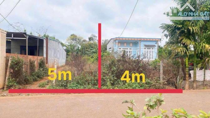 9x56m ĐẤT THỔ CƯ ĐƯỜNG N4 BUÔN JU PHƯỜNG TÂN AN GIÁ RẺ - 1