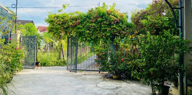 Nhà vườn Trung Tâm Diên Khánh,giá Cực tốt cho khách mua hay đầu tư - 1
