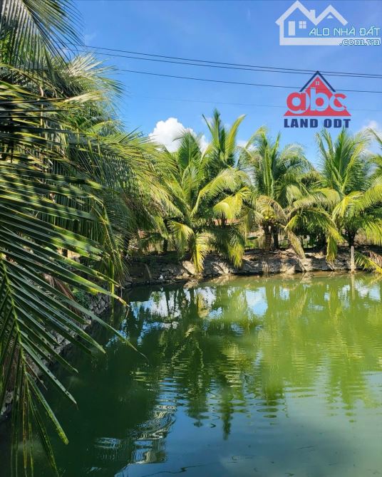 X080 BÁN Xưởng Và Nhà Vườn Xã Vĩnh Tân Vĩnh Cửu 3.3Ha ( 33.000m2 ) 1 Sẹt DT767 -500M - 1