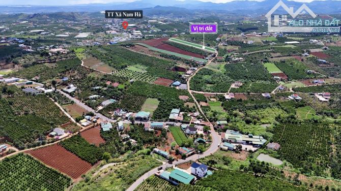✨ 4.609M2 (194M2 ONT) Ngang 20M Mặt đường Nhựa (QHLG: 20M), cách Đà Lạt chỉ 20Km - 3,45 TỶ - 1