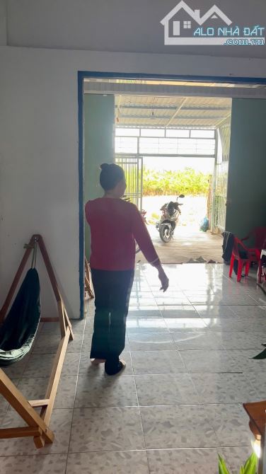 Bán gấp nhà giá rẻ xã Long Hòa, Cần Đước: 4,5x49m - 1