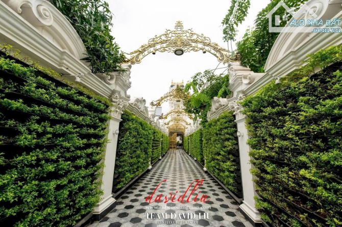Bán Dinh Thự Siêu Đẳng Cấp MTĐ Trần Văn Kiểu, P.10, Quận 6 : - 16