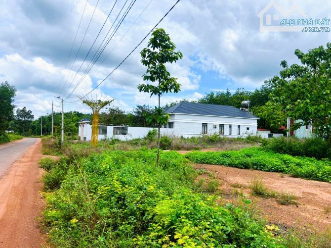 1,2 sào 380 triệu sang sổ đất Đồng Phú đường nhựa 8m  , dân cư hiện hữu - 2