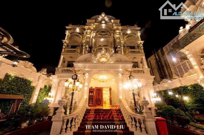 Bán Dinh Thự Siêu Đẳng Cấp MTĐ Trần Văn Kiểu, P.10, Quận 6 : - 2