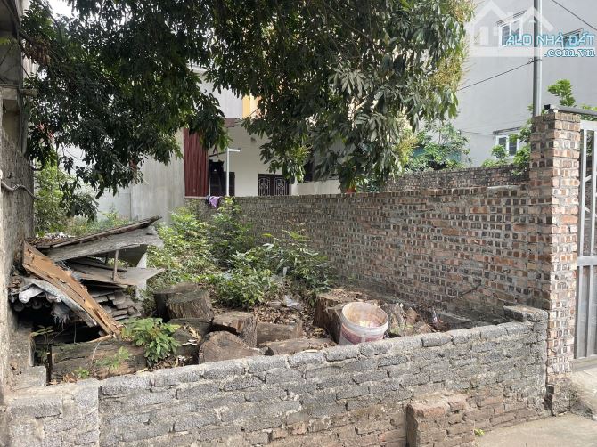 BÁN ĐẤT DƯƠNG HÀ GIA LÂM_86M2 MT 4M 6.X TỶ_NGÕ THÔNG OTO TẢI_FULL TIỆN ÍCH_GẦN CHỢ.TRƯỜNG - 2