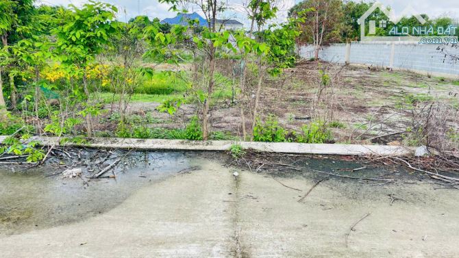 Chủ gửi bán lô đất sát đường ven biển Phước Hội - Long Đất,BRVT - giá chỉ 800tr - 2