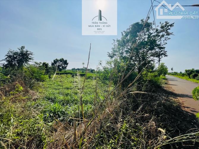 Đất Bình Trung - Khu Dân Cư - Thích Hợp Xây Nhà - 3