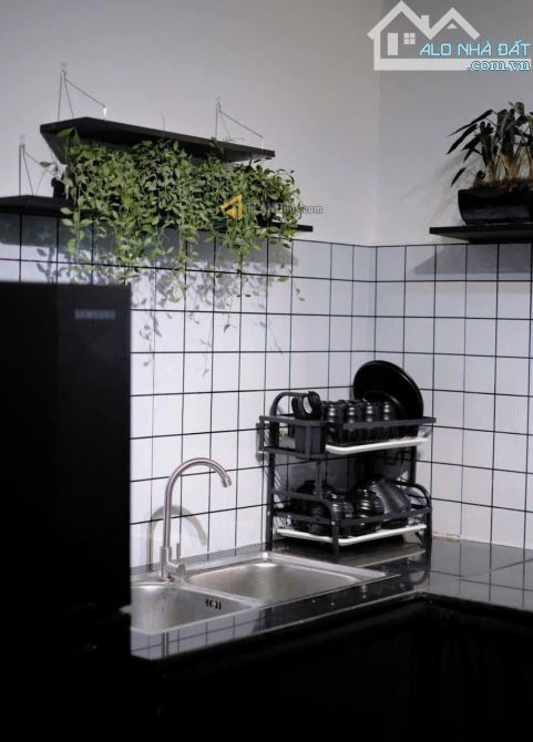 NHÀ CẤP 4 SÂN VƯỜN ĐANG LÀM HOME ĐƯỜNG HAI BÀ TRƯNG, P6, ĐÀ LẠT - 3