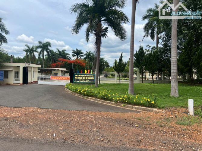 1,2 sào 380 triệu sang sổ đất Đồng Phú đường nhựa 8m  , dân cư hiện hữu - 3