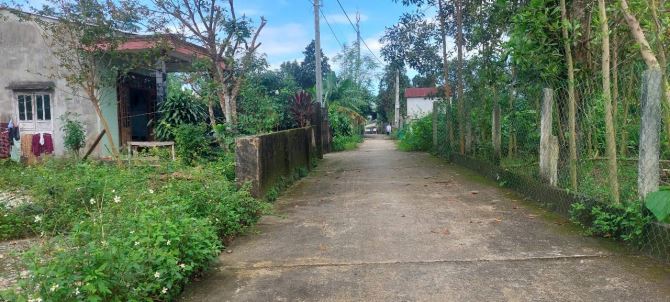 Đất xây nhà vườn 2 mặt kiệt gần cánh đồng xanh 539m2 có 150m2 đất ở - 3