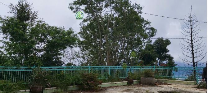 Bán biệt thự cổ view săn mây siêu đẹp tại Trạm Hành - Đà Lạt. - 3